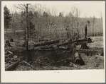 Logs left in the woods by logging operations, illustrating the great waste of timber accompanying private ownership and exploitation. Wisconsin