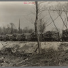 A trainload of timber recently cut and ready to be shipped to the sawmill. Little effort is made to clean up after cutting timber. Note slashings and brush in foreground. Wisconsin