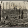 Cut-over and burned-over land along County K Highway. Forest County, Wisconsin