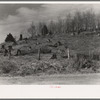 Cut-over hillside showing white pine stumps and logs left by operations. On road from Tipler to Long Lake, Wisconsin