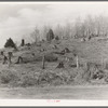 Cut-over hillside showing white pine stumps and logs left by operations. On road from Tipler to Long Lake, Wisconsin