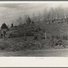 Cut-over hillside showing white pine stumps and logs left by operations. On road from Tipler to Long Lake, Wisconsin