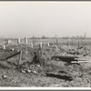 Country graveyard in isolated cut-over forest land near Tipler, Wisconsin. Note fresh grave outside the enclosure