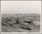 Country graveyard in isolated cut-over forest land near Tipler, Wisconsin. Note fresh grave outside the enclosure