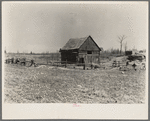 Barn on the Bodray farm. Tipler, Wisconsin