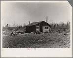 Log cabin occupied by six people. Near Tipler, Florence County, Wisconsin