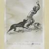 Drawings of German Occupation Atrocities.