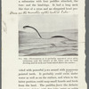 Extinct animals