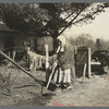 An old lady hoeing her garden on her small farm near Gibbs City, Michigan