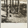 Swing made of an old rubber tire. Gibbs City, Michigan