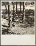 Swing made of an old rubber tire. Gibbs City, Michigan