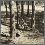 Swing made of an old rubber tire. Gibbs City, Michigan