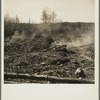 Burning brush on Sando Evanoff's farm. Iron County, Michigan. This is one of the processes in cleaning cut-over land