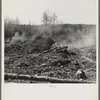 Burning brush on Sando Evanoff's farm. Iron County, Michigan. This is one of the processes in cleaning cut-over land