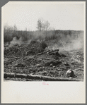 Burning brush on Sando Evanoff's farm. Iron County, Michigan. This is one of the processes in cleaning cut-over land
