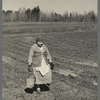 Woman carrying pail full of weeds from strawberry field near Mansfield, Michigan