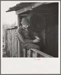 Son of William Shanard, cut-over farmer, near Silk Lake, Michigan, rolling a cigarette