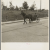 Man driving horse in home-adapted carriage. Crystal Falls, Michigan