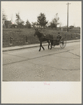 Man driving horse in home-adapted carriage. Crystal Falls, Michigan