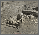 Two of the Bodray children at play in their sandpile on a cut-over farm near Tipler, Wisconsin