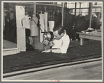 Philip Goldstein assistant cutter in the cooperative garment factory at Jersey Homesteads, is secretary of the Colonists' Association, the workers' Aim Cooperative Association, Inc., Hightstown, New Jersey