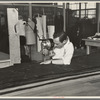 Philip Goldstein assistant cutter in the cooperative garment factory at Jersey Homesteads, is secretary of the Colonists' Association, the workers' Aim Cooperative Association, Inc., Hightstown, New Jersey