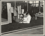 Philip Goldstein assistant cutter in the cooperative garment factory at Jersey Homesteads, is secretary of the Colonists' Association, the workers' Aim Cooperative Association, Inc., Hightstown, New Jersey