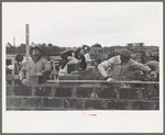 Closeup of construction of houses, Jersey Homesteads, Hightstown New Jersey