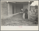 Whitewashing a cinderblock house, Jersey Homesteads, Hightstown, New Jersey