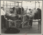 Steam pressing the cloth is one process in manufacturing women's coats at Jersey Homesteads, Hightstown