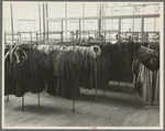 Ladies' coats manufactured at the cooperative garment factory, Hightstown, New Jersey