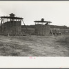 Corn stored by the farm group at Hightstown, New Jersey, for the dairy herd soon to be acquired by the colony
