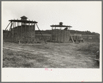 Corn stored by the farm group at Hightstown, New Jersey, for the dairy herd soon to be acquired by the colony