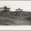 Corn stored by the farm group at Hightstown, New Jersey, for the dairy herd soon to be acquired by the colony