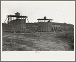 Corn stored by the farm group at Hightstown, New Jersey, for the dairy herd soon to be acquired by the colony