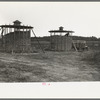 Corn stored by the farm group at Hightstown, New Jersey, for the dairy herd soon to be acquired by the colony