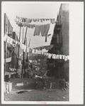 An avenue of clothes washings between 138th and 139th Street apartments, just east of St. Anne's Avenue, Bronx, New York