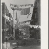 An avenue of clothes washings between 138th and 139th Street apartments, just east of St. Anne's Avenue, Bronx, New York