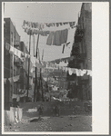An avenue of clothes washings between 138th and 139th Street apartments, just east of St. Anne's Avenue, Bronx, New York