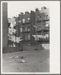Apartment houses as viewed through vacant lot. In vicinity of 139th Street, just east of St. Anne's Avenue, Bronx, New York City