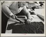 Closeup of cutter's hands (cutting cloth), Jersey Homesteads, Hightstown, New Jersey