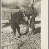 Vaccination of pigs on stock farm near Aledo, Illinois, usually done by a veterinary although some farmers do it