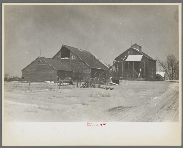 Farm buildings, Rustan brothers' farm, Dickens, Iowa NYPL Digital
