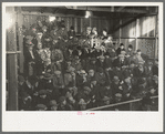 Farmers in gallery of livestock sales hall, Ames, Iowa