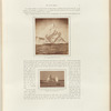 The Arctic Regions