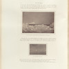 The Arctic Regions