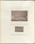 The Arctic Regions