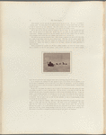The Arctic Regions