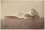 Instantaneous view of icebergs