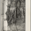 Harness in barn of H.H. Tripp, near Dickens, Iowa